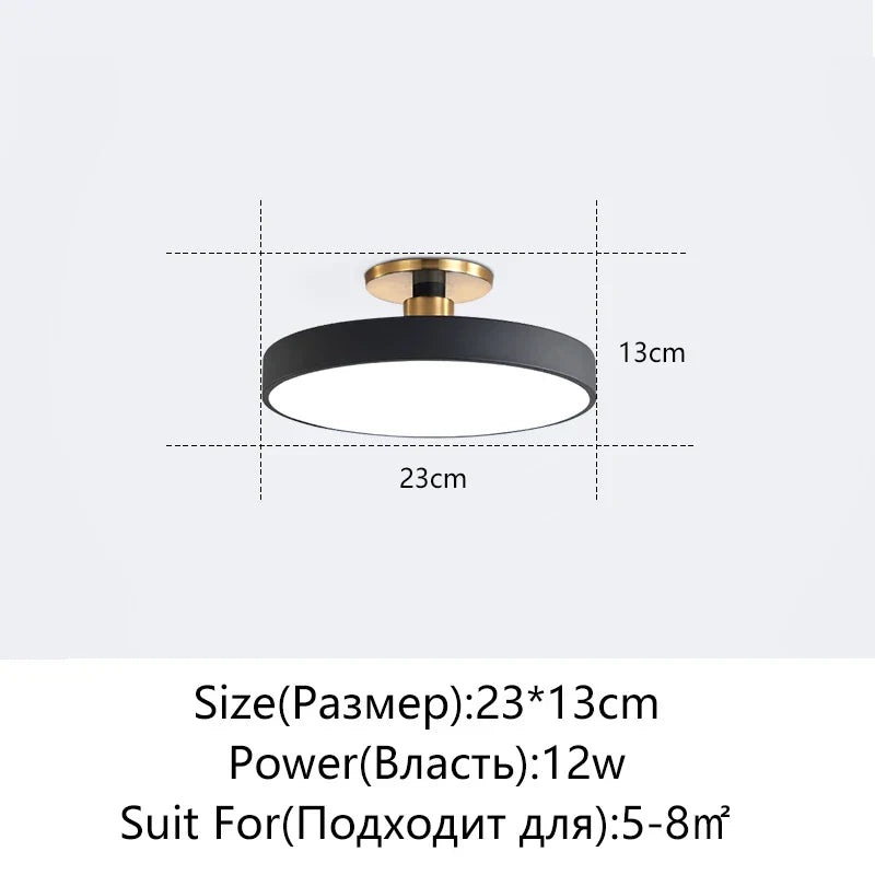 DecorBites™ LED Ceiling Lamp for Living Room Study Child Bedroom Indoor Lighting