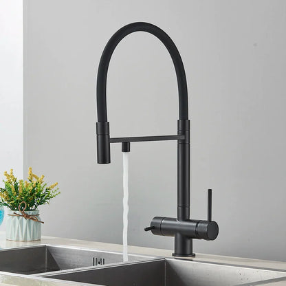 Decorbites™ Küchen-Wasserfilterarmatur mit doppeltem Auslauf, drehbarer Wasserreinigungs-Mischhahn