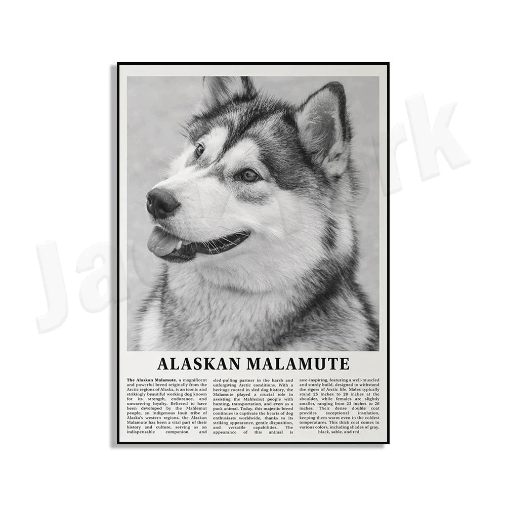 Decorbites™ Poster mit Schwarz- und Weiß-Hunderassen: Windhund, Cocker Spaniel, Akita, Malamute, Vieh-Hund