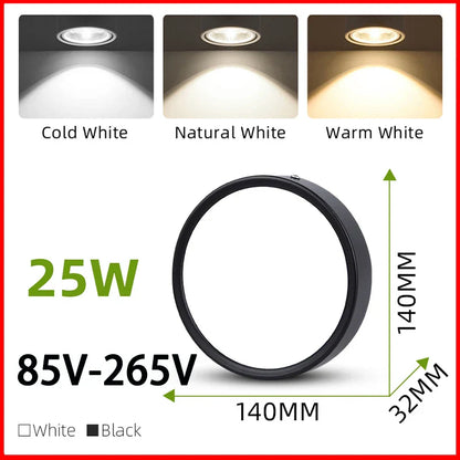 DecorBites™ LED Ceiling Lamp 220V Indoor Lighting Fixture for Kitchen Room & Platform