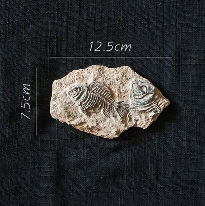 Decorbites™ Fossil-Serie Kunst-Kühlschrank-Aufkleber: Fischknochen-Käfer Meeresinsekten-Präparat