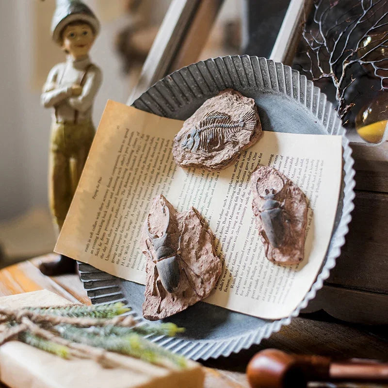 Decorbites™ Fossil-Serie Kunst-Kühlschrank-Aufkleber: Fischknochen-Käfer Meeresinsekten-Präparat
