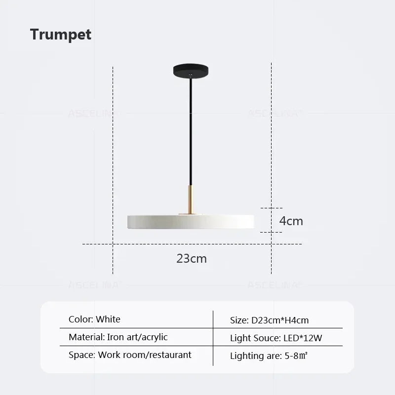 DecorBites™ LED Study Disc Pendant Light for Bedroom Living Room Office Decor