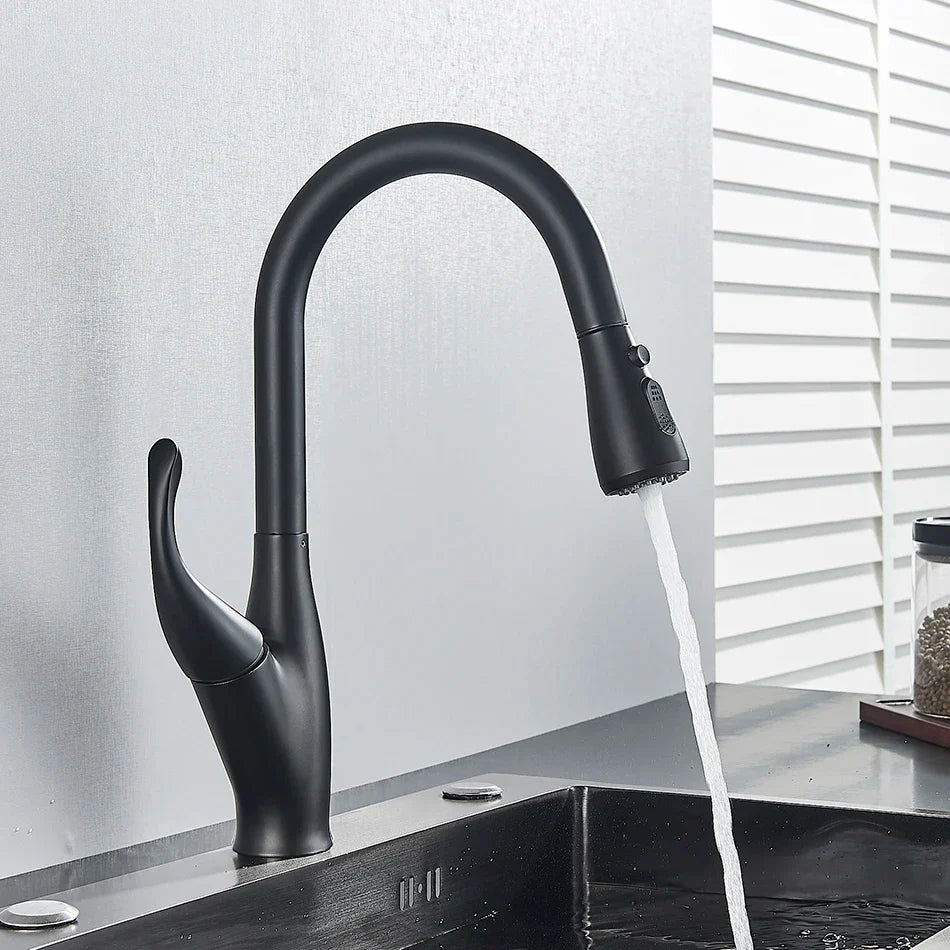 Decorbites™ Küchenarmatur: Chrom/Schwarz Ausziehbarer Mischbatterie mit 2-Funktions-Strahlformer
