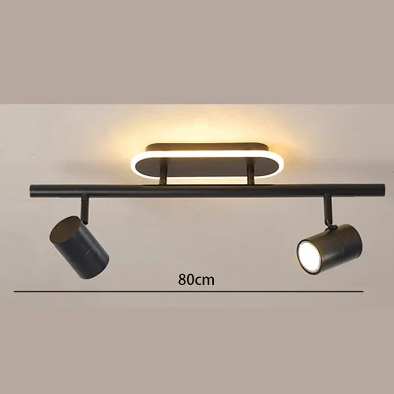 Gold Finish Ceiling Light