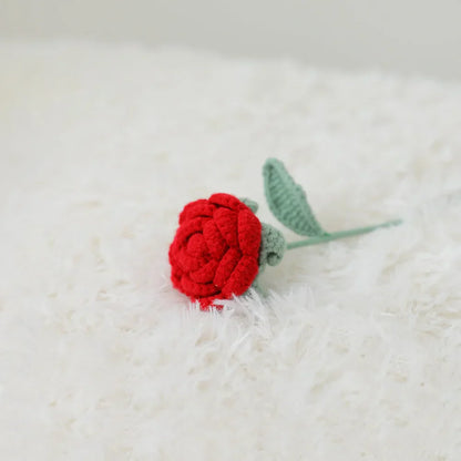 Decorbites™ Strauß aus gehäkelten Rosen DIY Häkelanleitung Hochzeitsgeschenk Muttertag-Geschenk