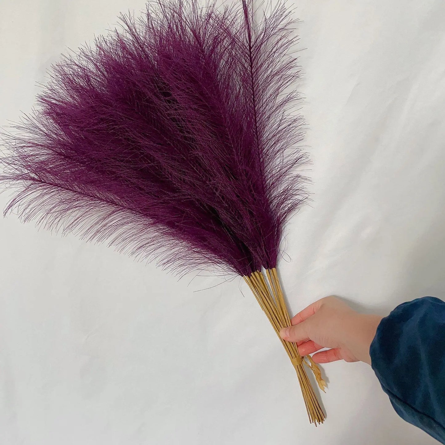 DecorBites™ Fluffy Pampas Grass Boho Decor Pampas Grass.