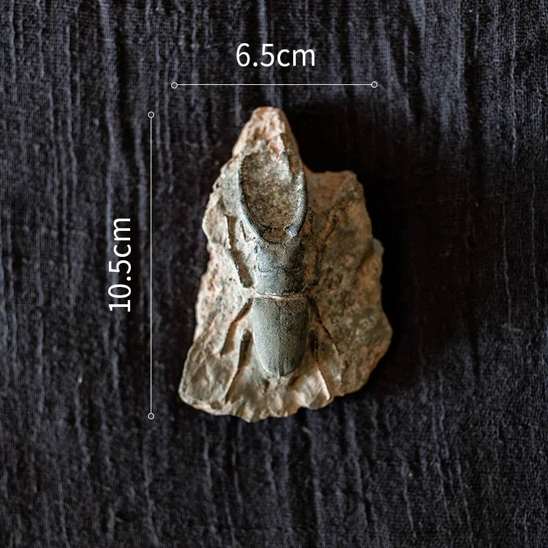 Decorbites™ Fossil-Serie Kunst-Kühlschrank-Aufkleber: Fischknochen-Käfer Meeresinsekten-Präparat