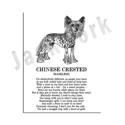 Decorbites™ Hunderassen-Poster: Chinesischer Nackthund, Chesapeake Bay Retriever, Brüsseler Griffon, + Mehr