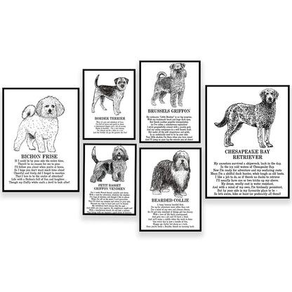 Decorbites™ Hunderassen-Poster: Chinesischer Nackthund, Chesapeake Bay Retriever, Brüsseler Griffon, + Mehr