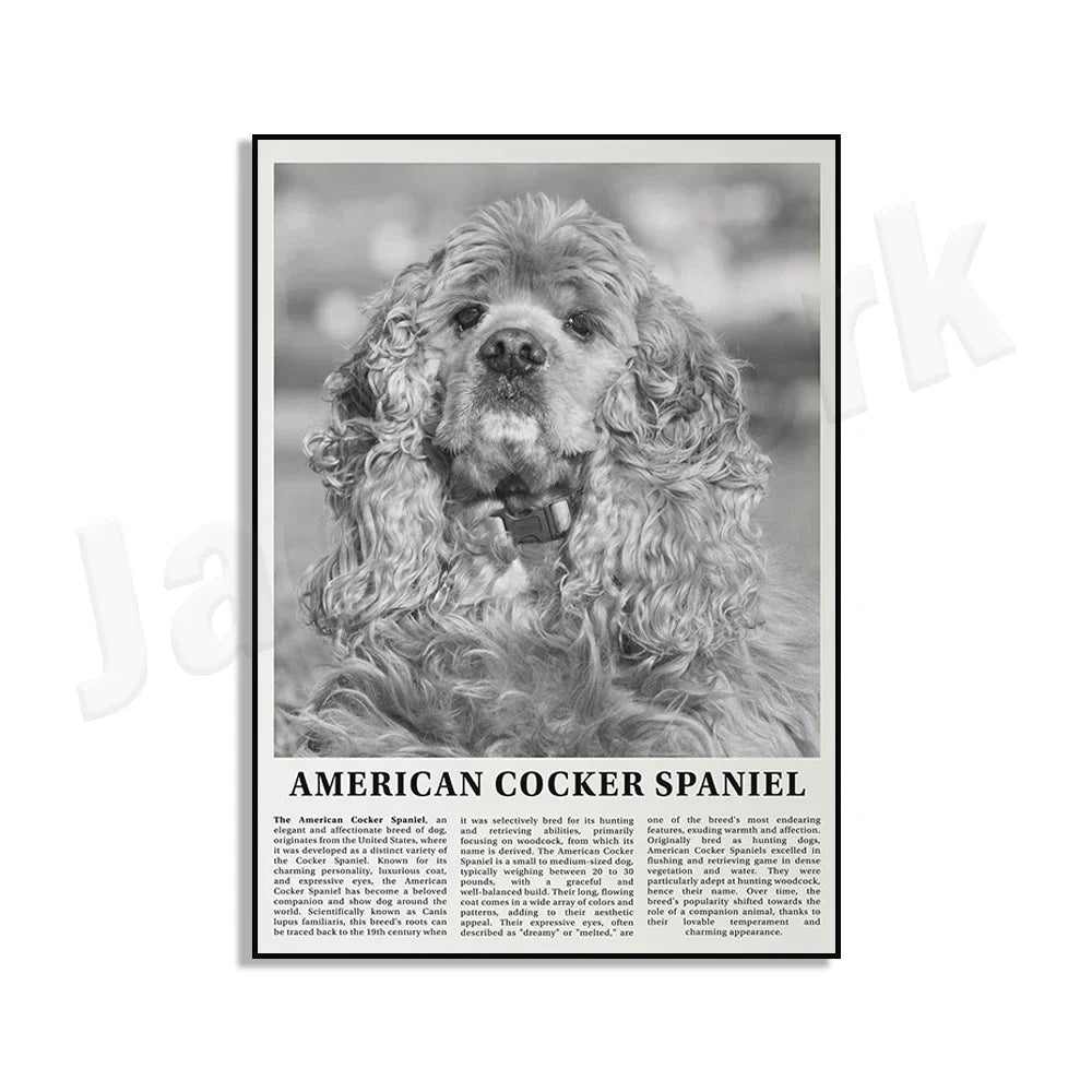 Decorbites™ Poster mit Schwarz- und Weiß-Hunderassen: Windhund, Cocker Spaniel, Akita, Malamute, Vieh-Hund