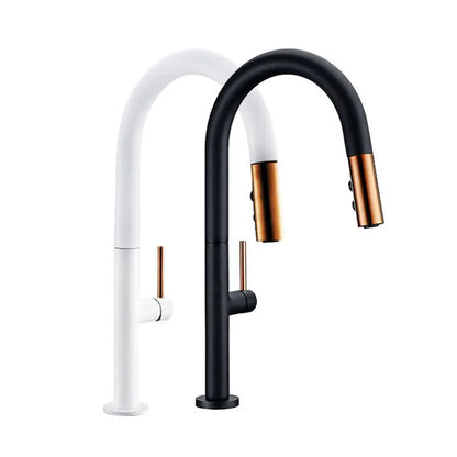 Faucet Pull Out Spout Black Kitchen Fixture