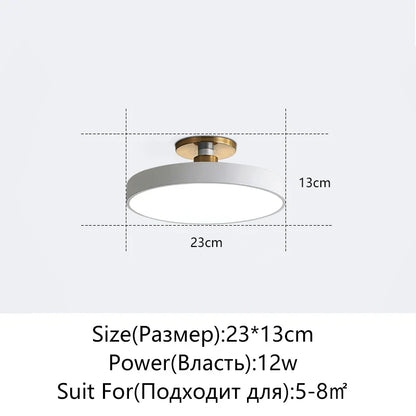 DecorBites™ LED Ceiling Lamp for Living Room Study Child Bedroom Indoor Lighting