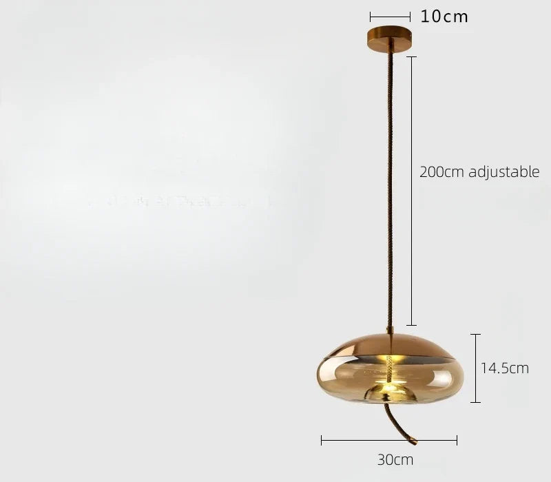 DecorBites™ Glass LED Chandeliers for Living Room Bedroom Kitchen Pendant Lamp