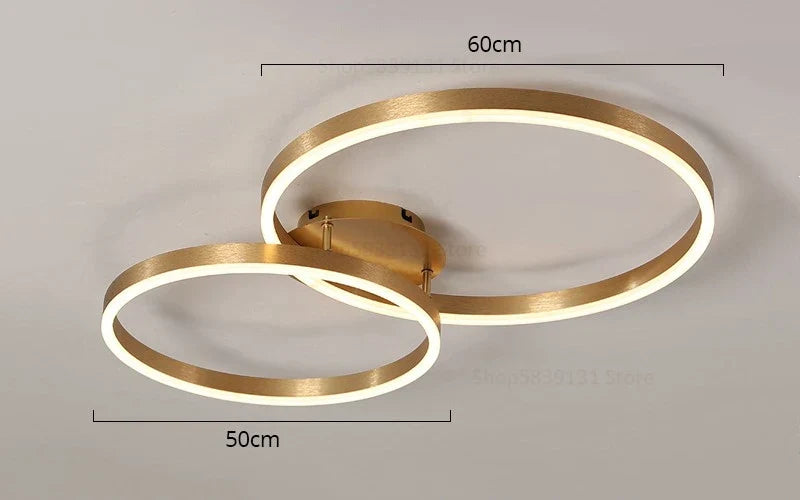 Decorbites™ Goldene LED-Deckenleuchte mit Acryl-Lampenschirm für kreative Wohnzimmerarmaturen