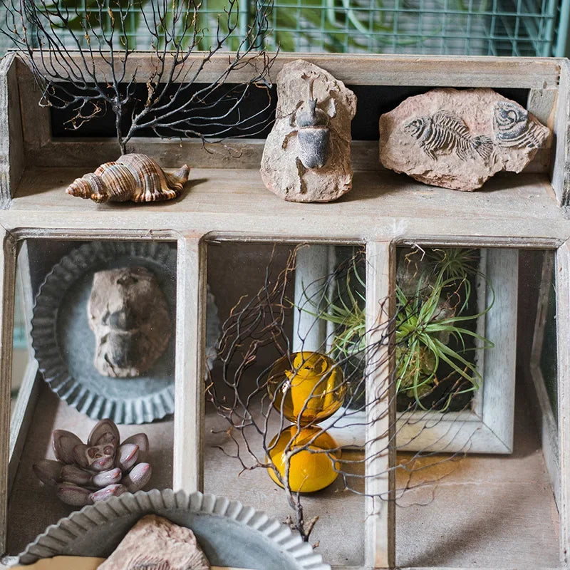 Decorbites™ Fossil-Serie Kunst-Kühlschrank-Aufkleber: Fischknochen-Käfer Meeresinsekten-Präparat