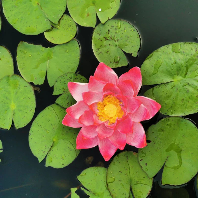 Decorbites™ Gartenteich schwimmende Tierstatuen-Handwerkskunst für Außendekoration und Teichdekoration