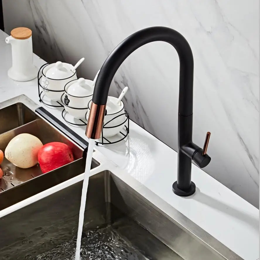 Faucet Pull Out Spout Black Kitchen Fixture