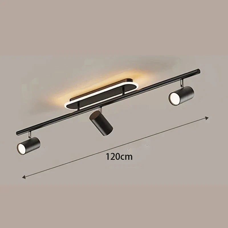 Gold Finish Ceiling Light