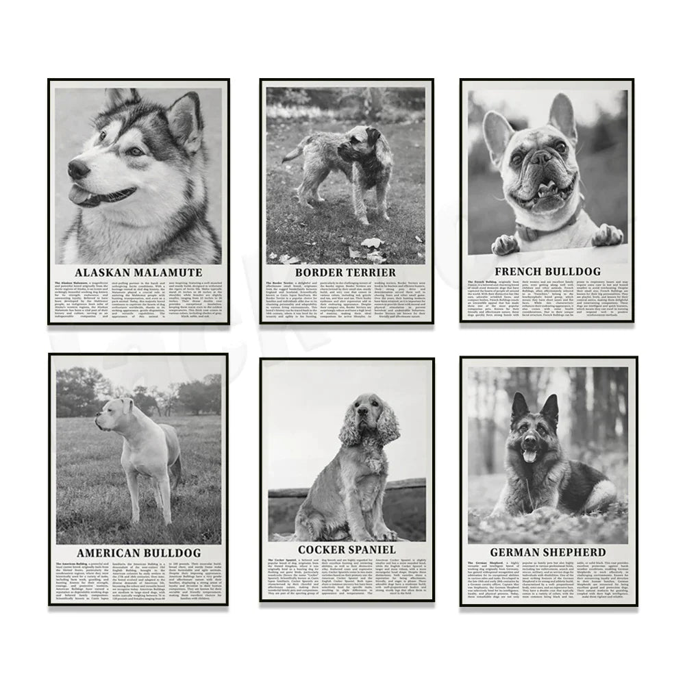 Decorbites™ Poster mit Schwarz- und Weiß-Hunderassen: Windhund, Cocker Spaniel, Akita, Malamute, Vieh-Hund