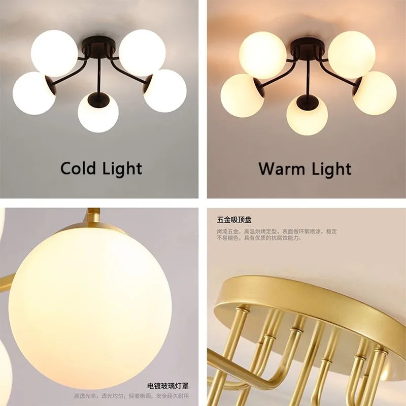 DecorBites™ Glass Bubble LED Ceiling Light for Living Room Kitchen Bedroom