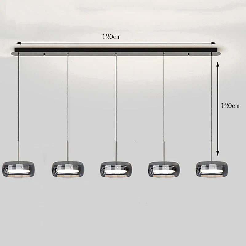 Modern Glass Ring Pendant Light in Iron