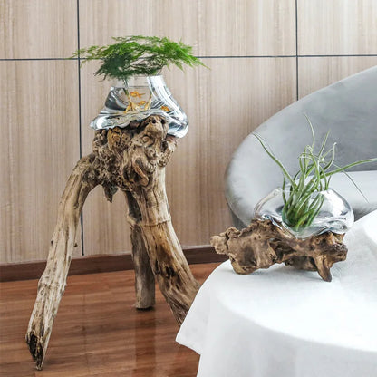 Decorbites™ Glas-Bonsai-Vase Hydroponik-Töpfe Kunst Holzrahmen Heimdekoration