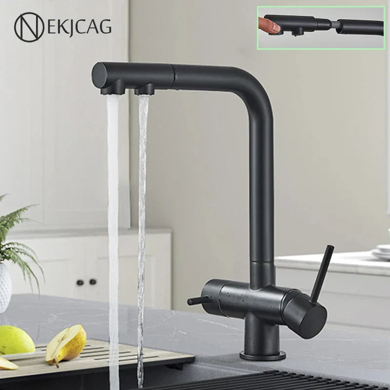 Decorbites™ Küchenarmatur mit Wasserfilterhahn und Zweifach-Dusche