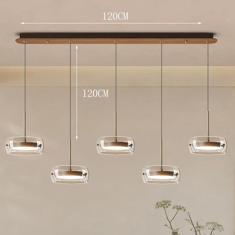 Modern Glass Ring Pendant Light in Iron