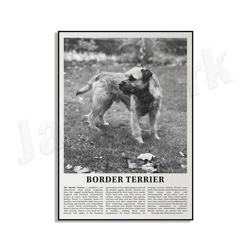 Decorbites™ Poster mit Schwarz- und Weiß-Hunderassen: Windhund, Cocker Spaniel, Akita, Malamute, Vieh-Hund