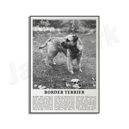 Decorbites™ Poster mit Schwarz- und Weiß-Hunderassen: Windhund, Cocker Spaniel, Akita, Malamute, Vieh-Hund
