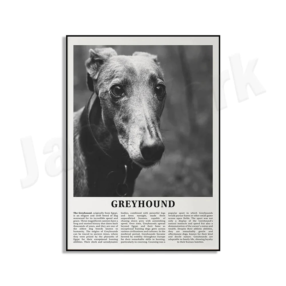 Decorbites™ Poster mit Schwarz- und Weiß-Hunderassen: Windhund, Cocker Spaniel, Akita, Malamute, Vieh-Hund