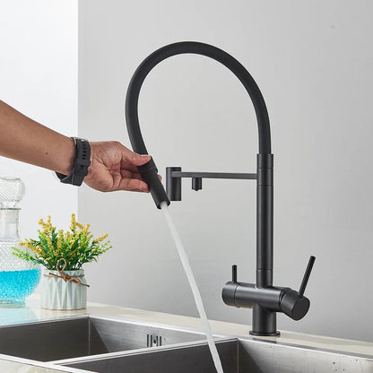 Decorbites™ Schwarz gefilterter Küchenarmatur Messing Doppelgriff Reines Wasser Mischbatterie