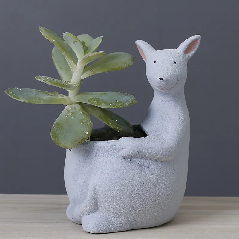 Decorbites™ Känguru-Cartoon-Keramik-Blumentopf-Vase für Kakteen, Sukkulenten und Pflanzen