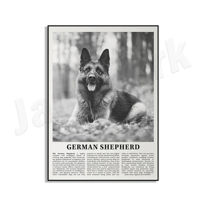 Decorbites™ Poster mit Schwarz- und Weiß-Hunderassen: Windhund, Cocker Spaniel, Akita, Malamute, Vieh-Hund