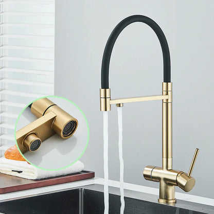 Decorbites™ Gebürstetes Gold 360° Drehbarer Ausziehbarer Küchenfilterarmatur mit Zweigängigem Griff