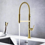 Gold Brass Spring Spout Faucet