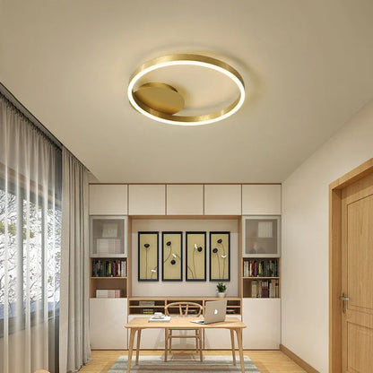 Decorbites™ Goldene LED-Deckenleuchte mit Acryl-Lampenschirm für kreative Wohnzimmerarmaturen
