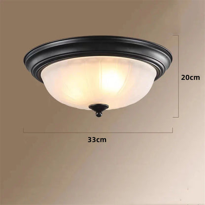 DecorBites™ Black Bronze Ceiling Light with Frosted Glass Shade for Bedroom and Kitchen