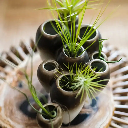 A cluster of dark brown ceramic hanging vases with vibrant green air plants for decorbites abstract tooth living room decor