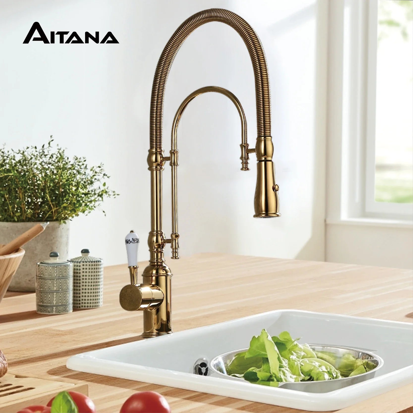 Aitana brass finished single handle kitchen faucet with flexible ribbed gooseneck spout and ornate base for single hole installation