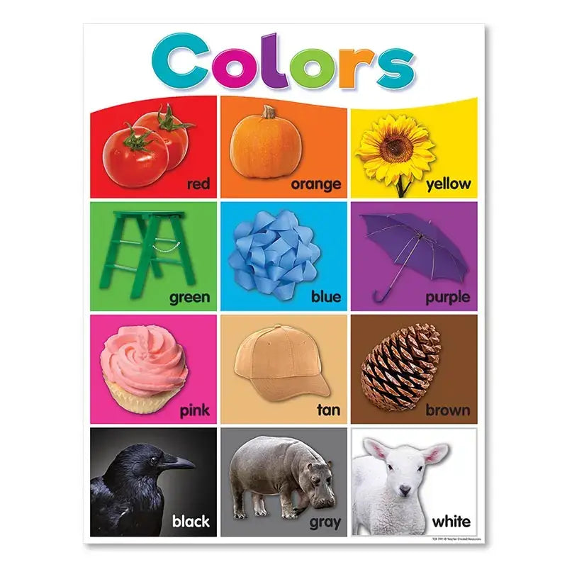 Colorful decorbites™ alphabet educational poster for kids featuring nine color-coded squares with objects and names