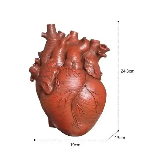 Red terracotta anatomy heart vase with detailed textured surface dry pot ideal for unique valentines day gift
