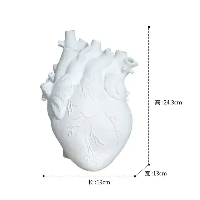 White anatomically detailed DecorBites anatomy heart vase dry pot ideal as a unique valentine’s day gift