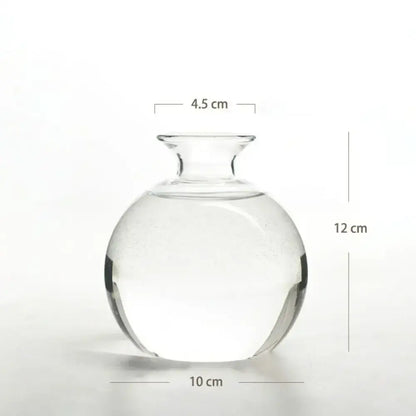 Clear glass hydroponic vase with rounded body and narrow neck designed as an avocado seed starter