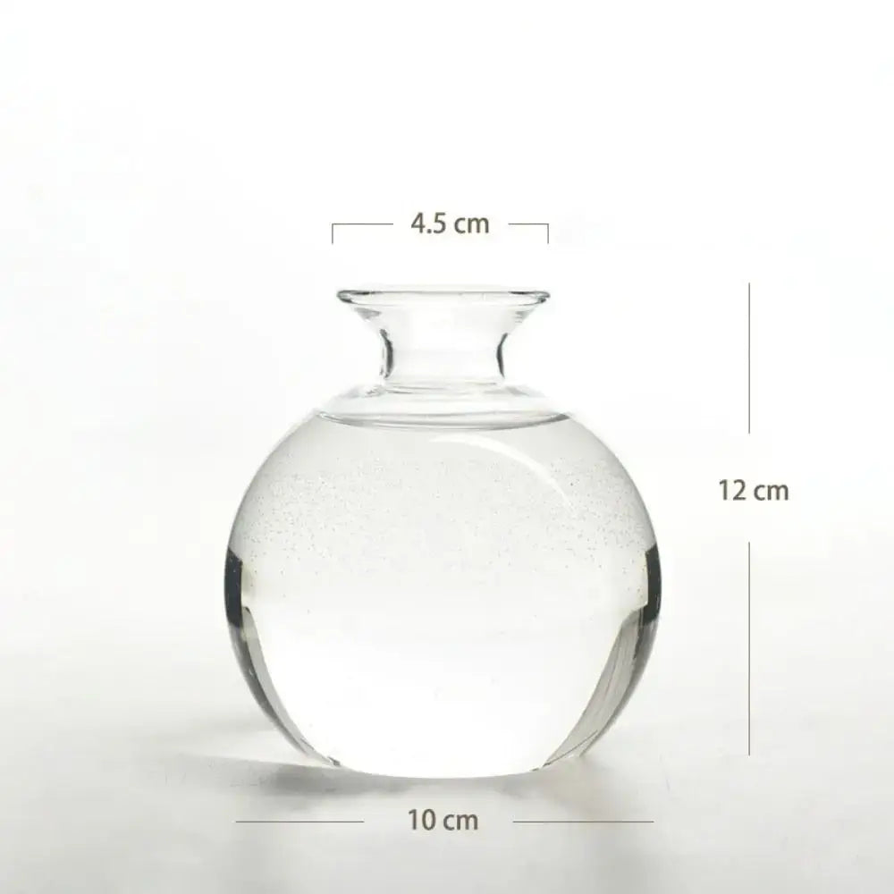 A clear glass hydroponic vase with a rounded body and narrow neck for avocado seed starter measuring 12 cm tall