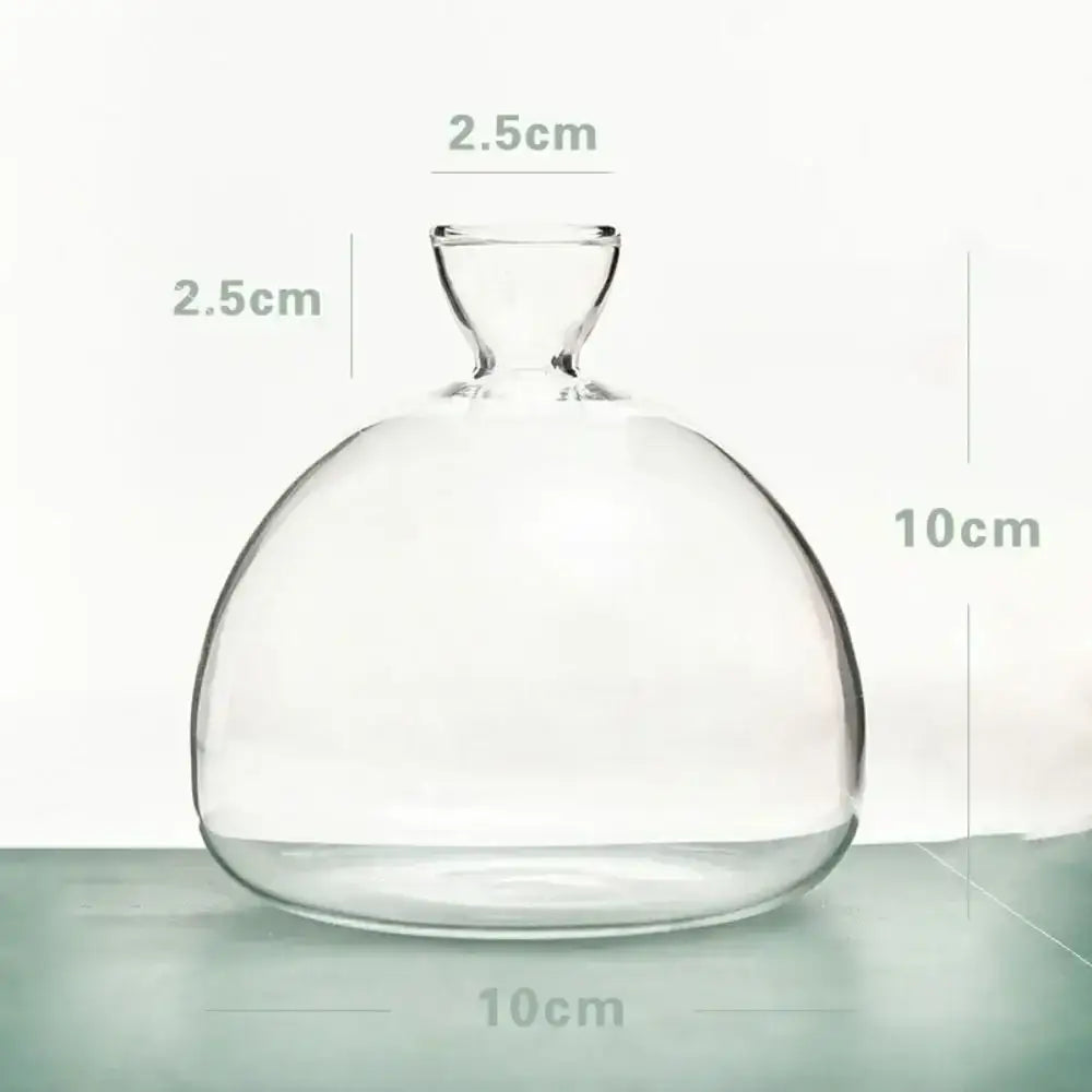 Clear glass hydroponic vase with rounded body and narrow neck for avocado seed starter measuring 10cm wide and high