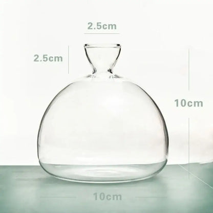 Clear glass hydroponic vase with rounded body and narrow neck for avocado seed starter use