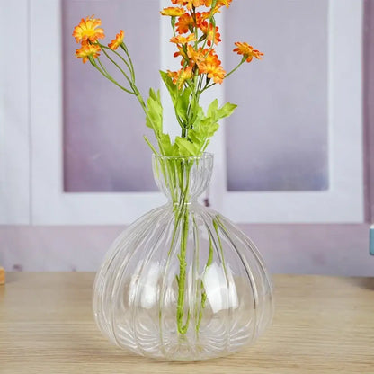 Clear glass hydroponic vase with vertical ribbed texture and rounded bulbous body for avocado seed starter use