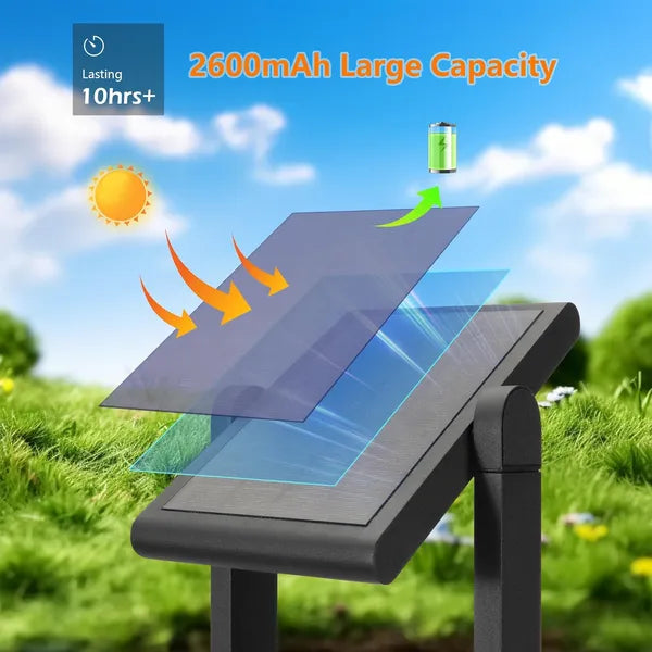 Solar Motion Sensor Lantern